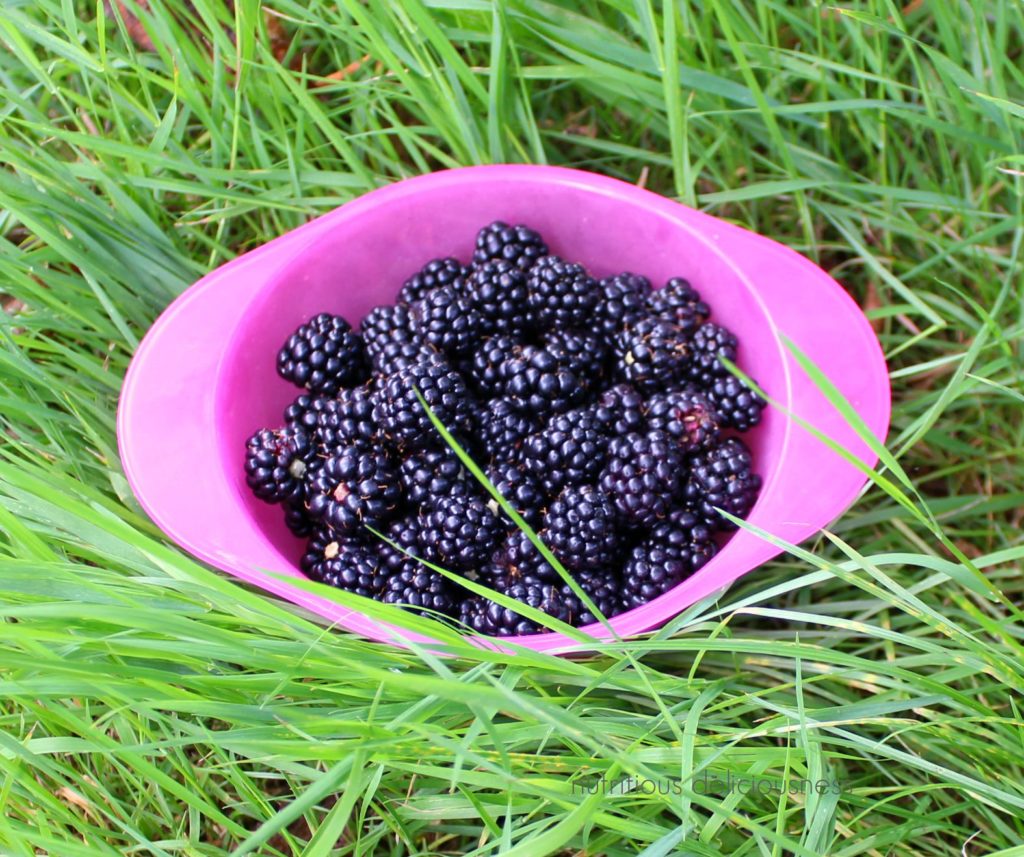 Blackberries from our garden