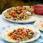 Roasted Salmon Jewelled Rice and Quinoa Summer Salad on speckled plate with fork with more in background