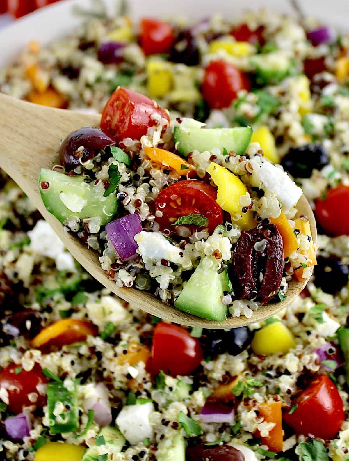 closeup of spoonful of Greek Quinoa Salad