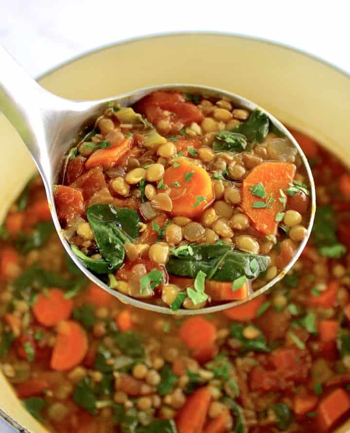 Carrot and Lentil Soup – Nutritious Deliciousness