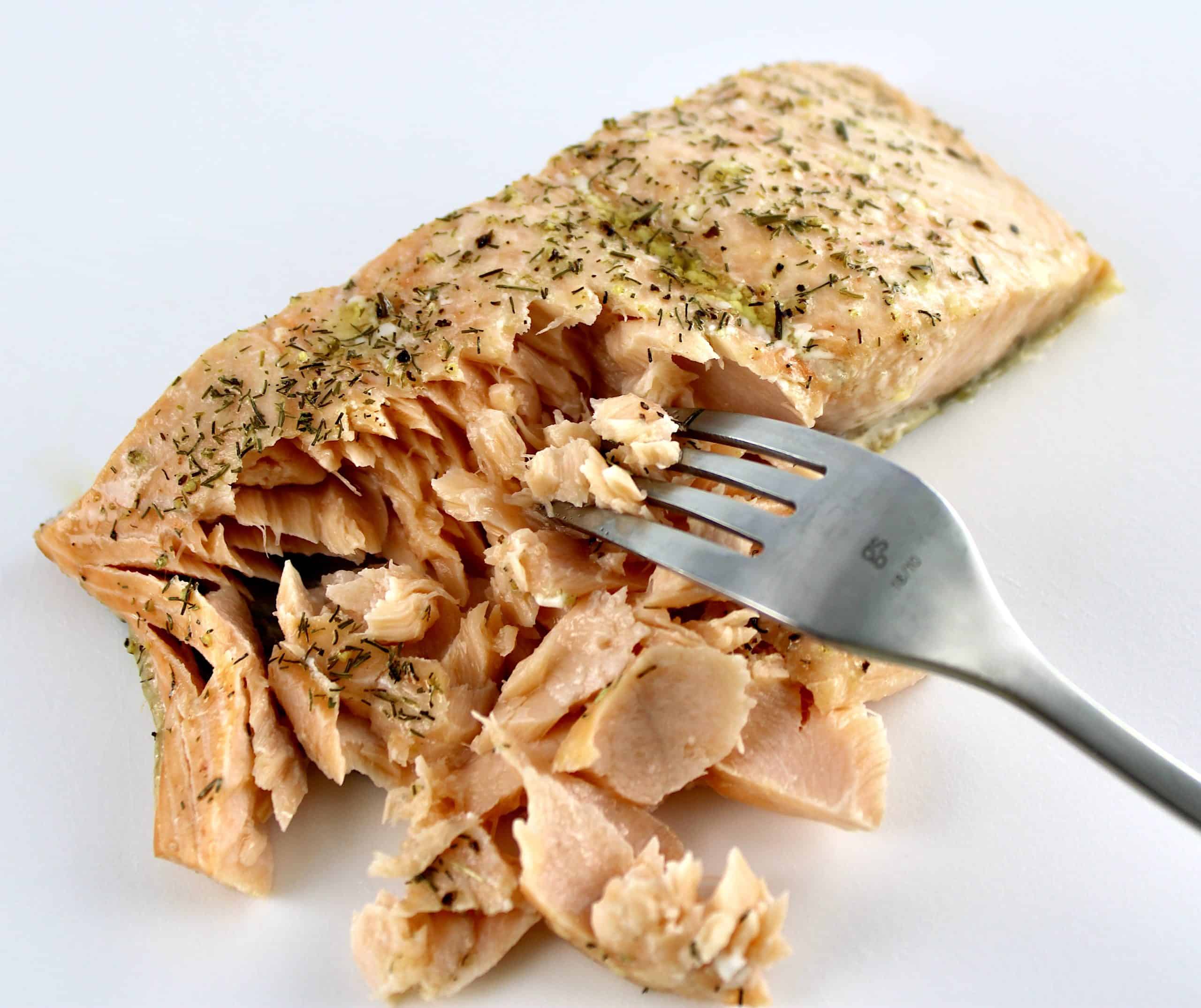 cooked salmon being flaked apart with fork