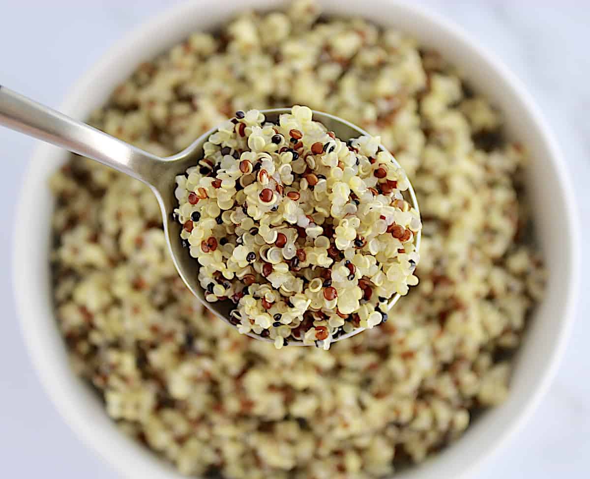 cooked quinoa in spoon held up over bowl of quinoa