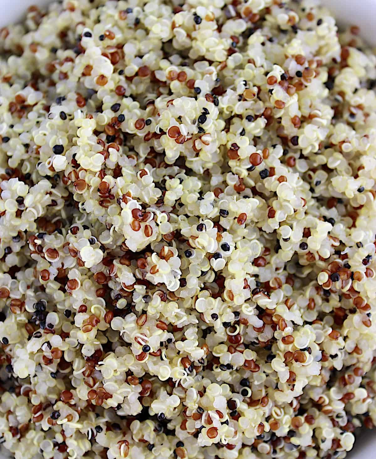 closeup of cooked quinoa