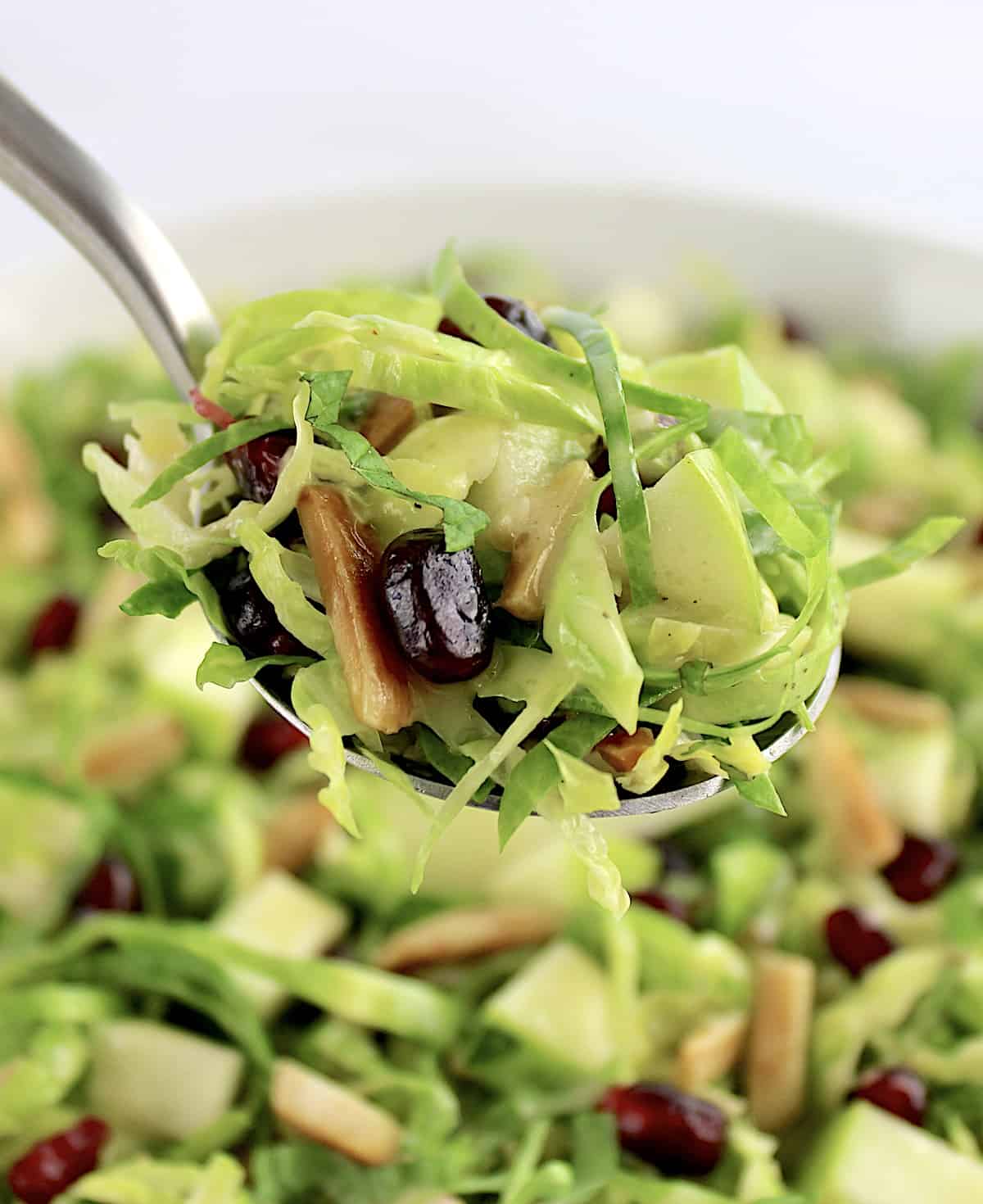 Shredded Brussels Sprouts Salad held up with spoon over salad