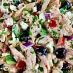 closeup of Greek Salmon Salad