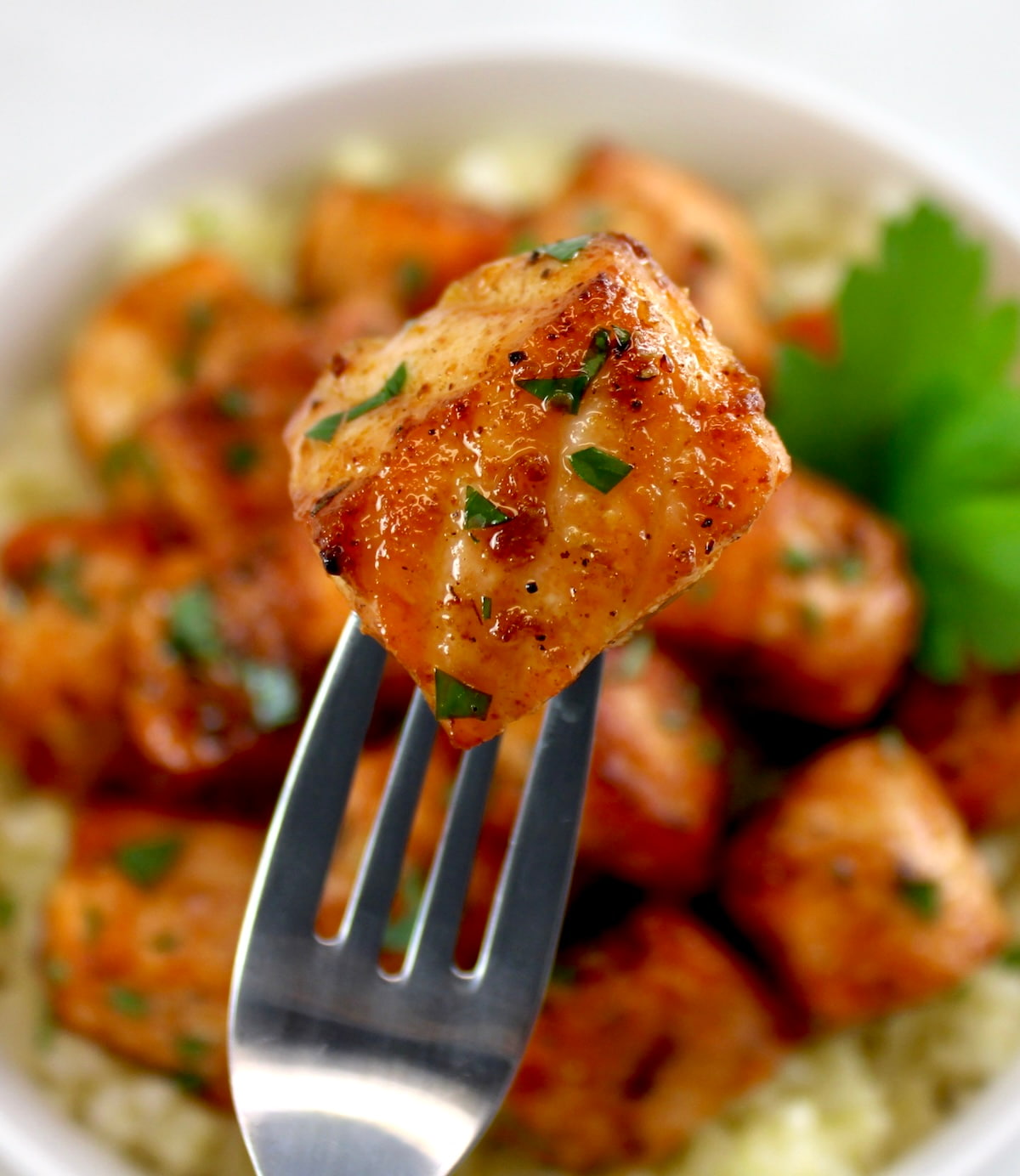 Cajun Salmon Bite on end of fork