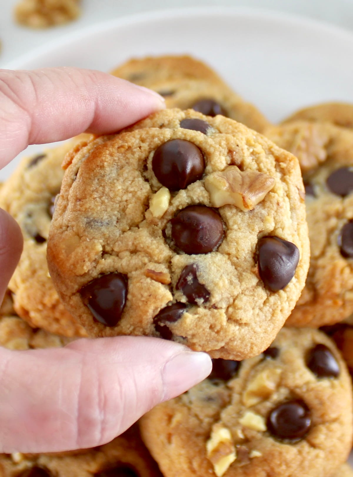 close up of holding up chocolate chip cookie