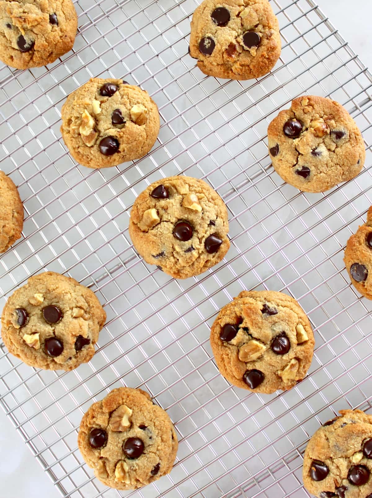 overhead view of Chocolate Chip Walnut Cookies on cooling rack