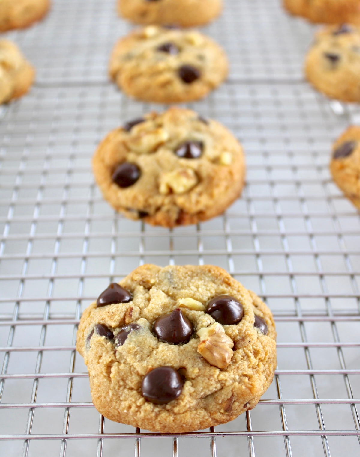 closeup of Chocolate Chip Walnut Cookies on cooking rack