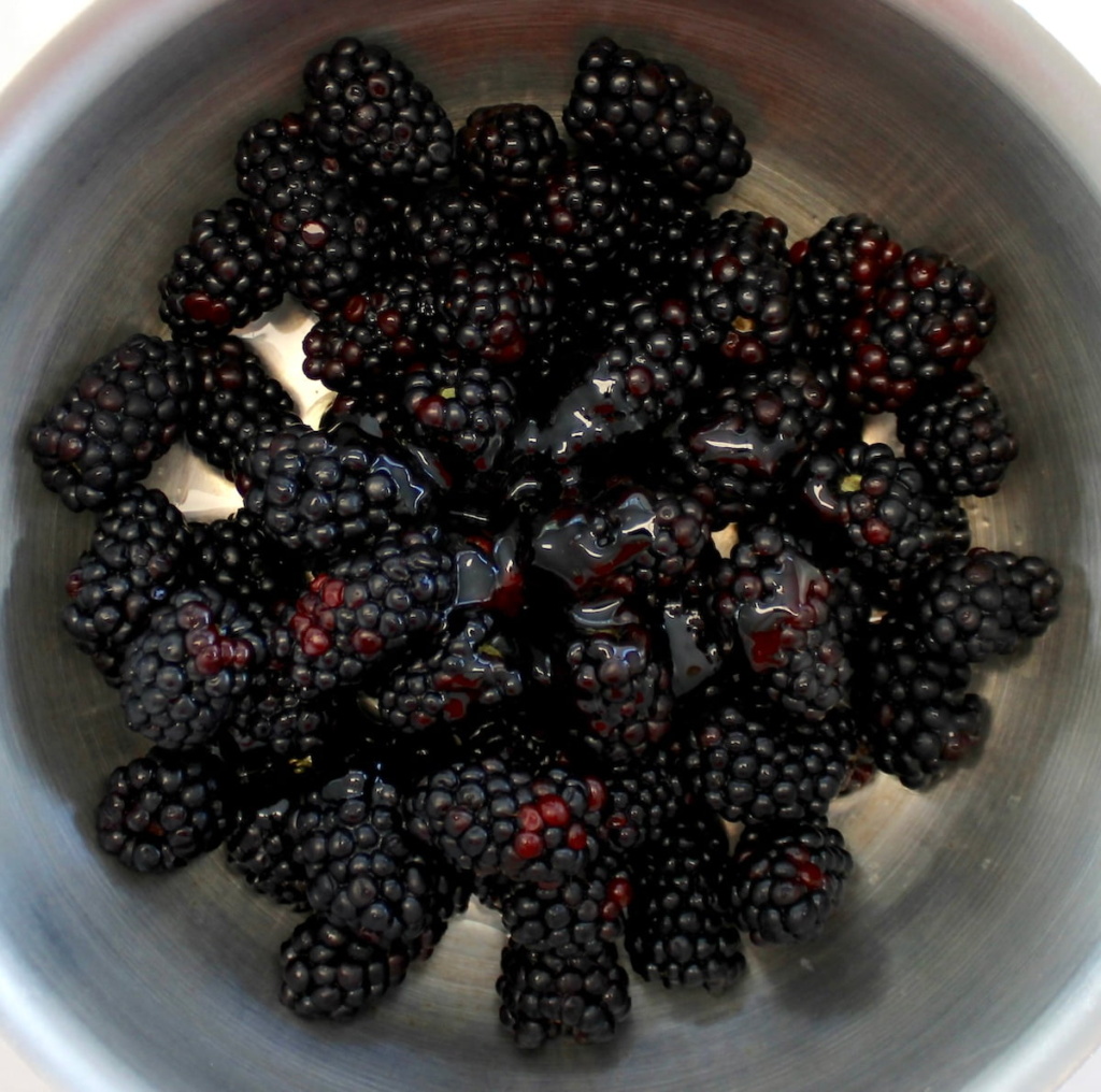 Blackberry Chia Seed Jam – Nutritious Deliciousness
