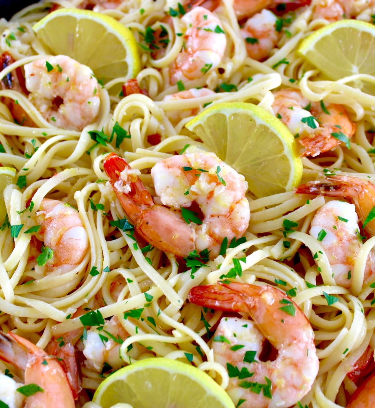 closeup of Shrimp Scampi with Linguine with lemon slices and chopped parsley