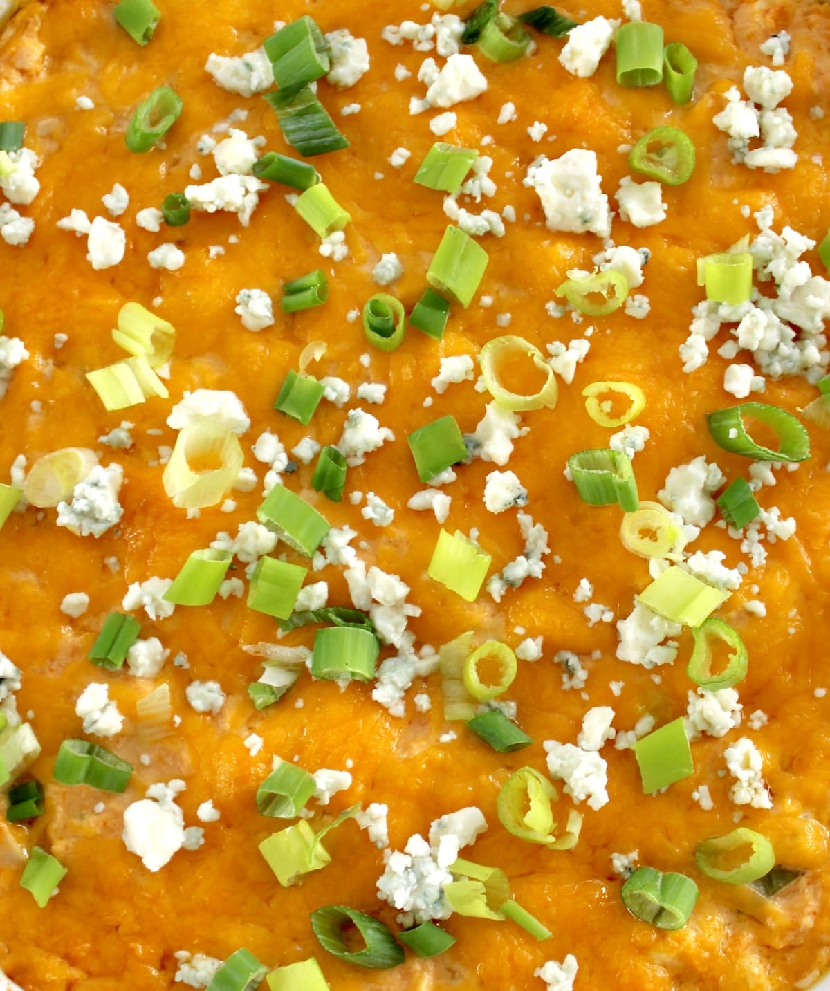 closeup of Cottage Cheese Buffalo Chicken Dip with chopped scallions and crumbled blue cheese on top